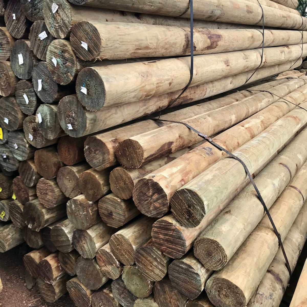 Pine Post 3.6m x 150-175 (RL6)