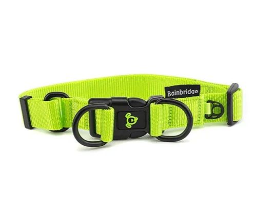 Nylon Dog Collar With Double Ring