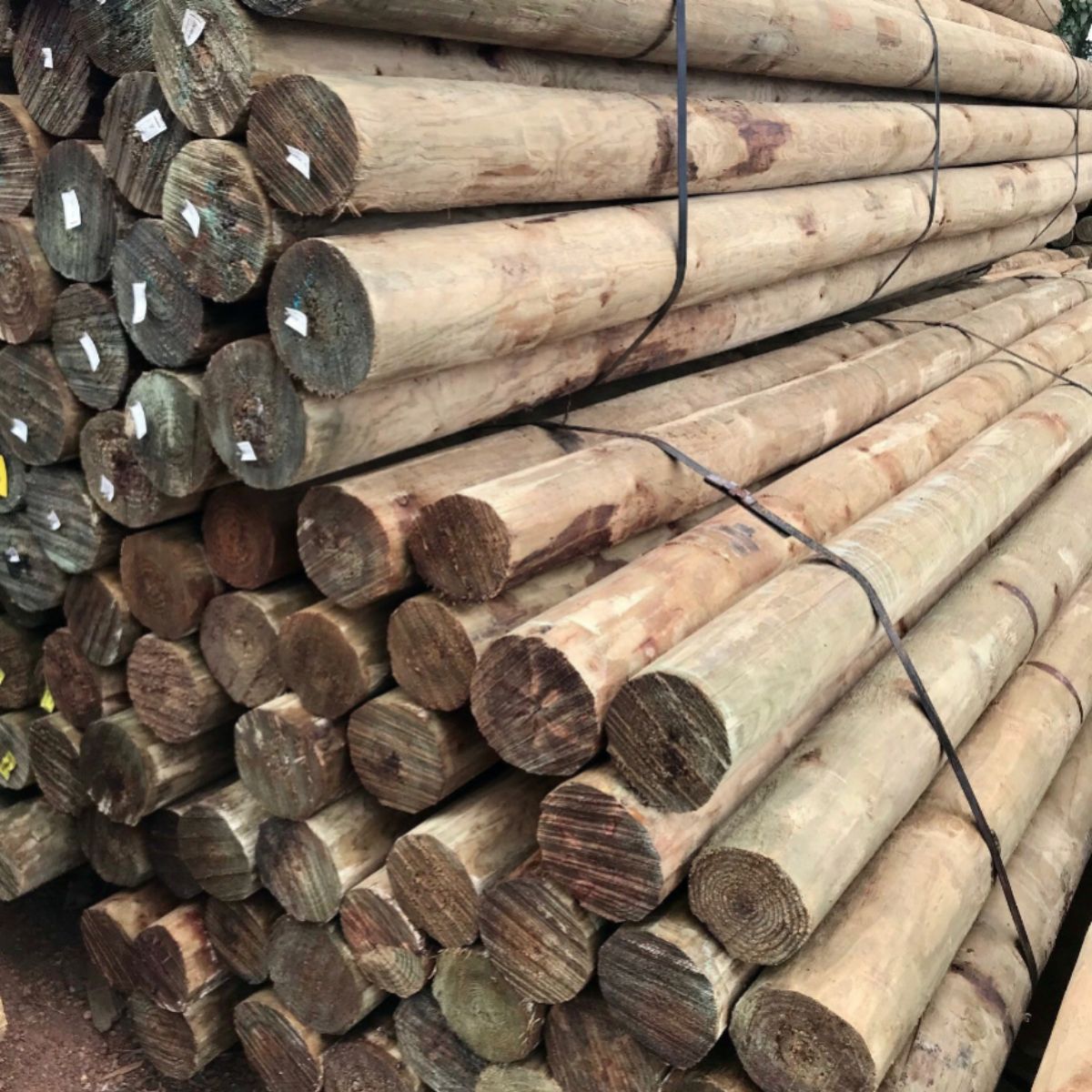 Pine Post 4.8m