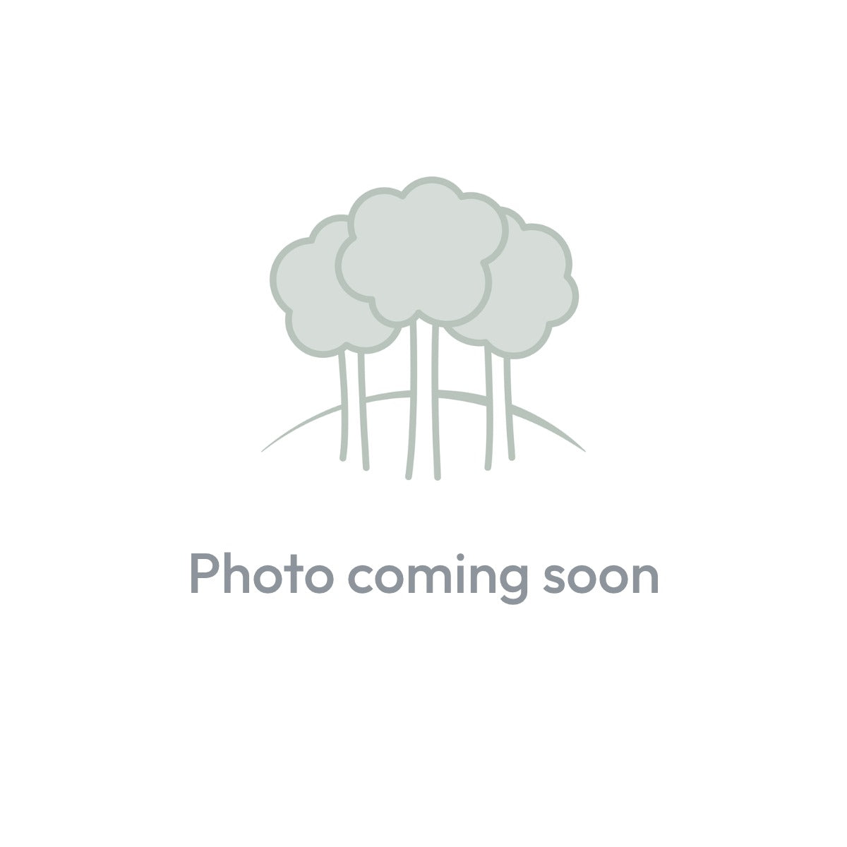 Photo coming soon