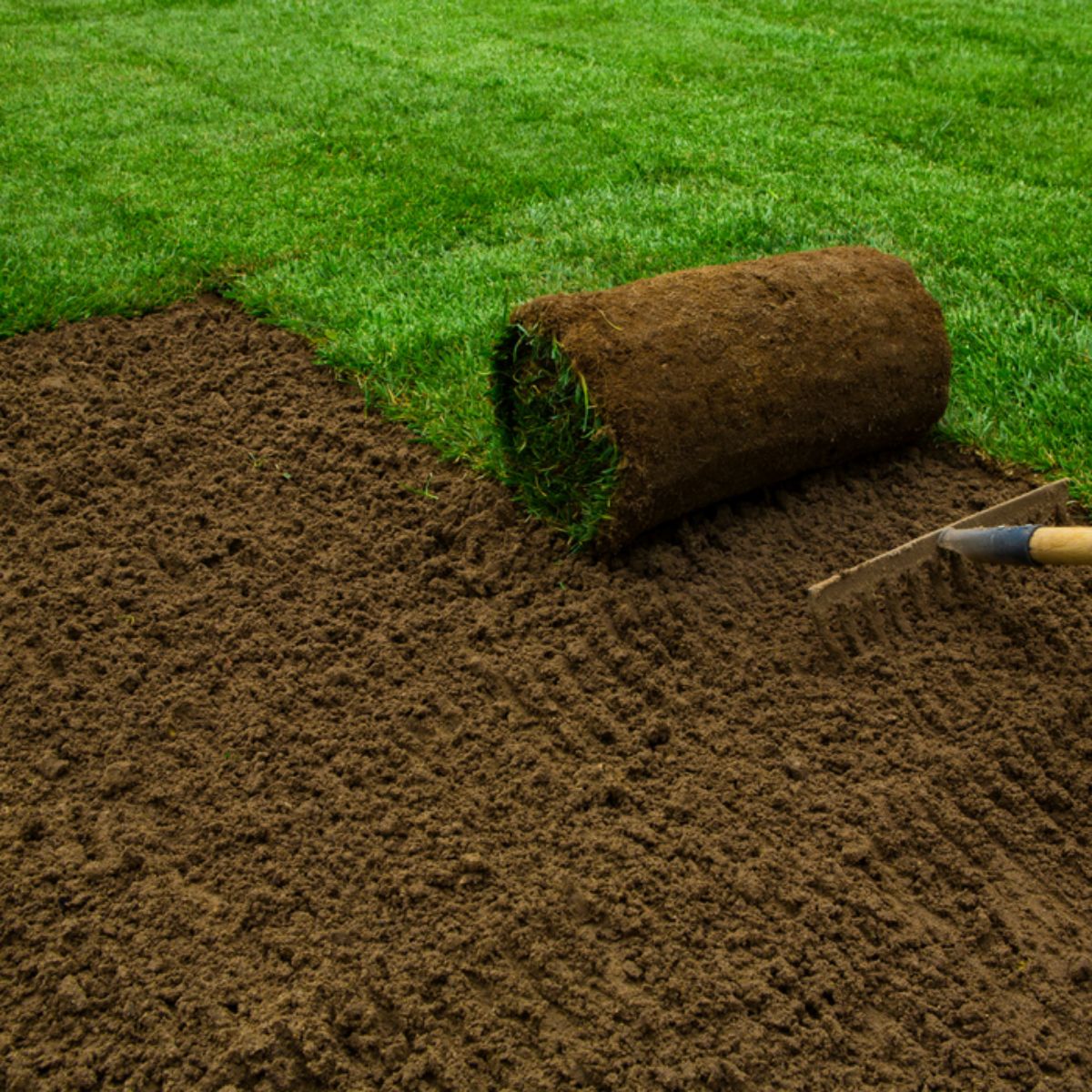 Roll-On Lawn & Turf