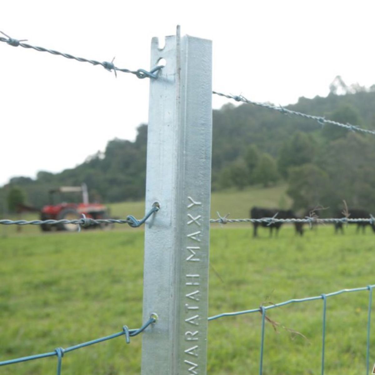 Steel Posts, Droppers & Strainers