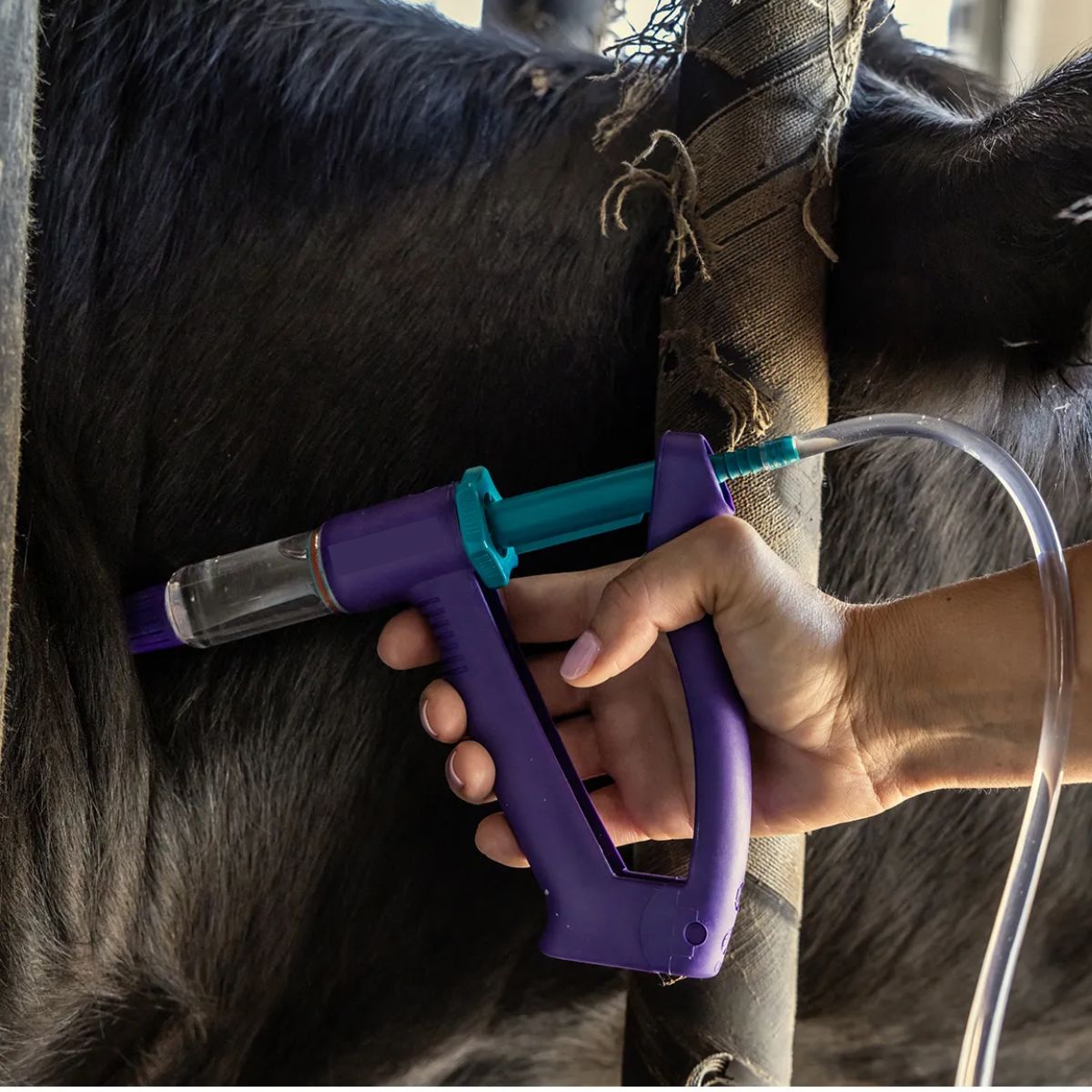 Animal Health Equipment