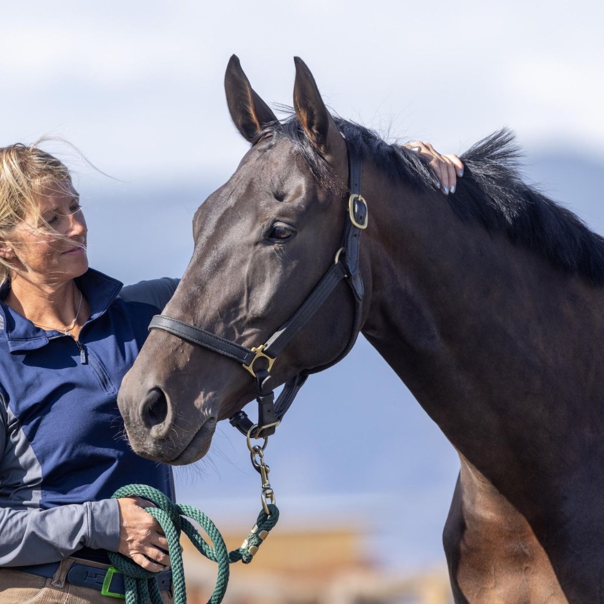 Equine Health