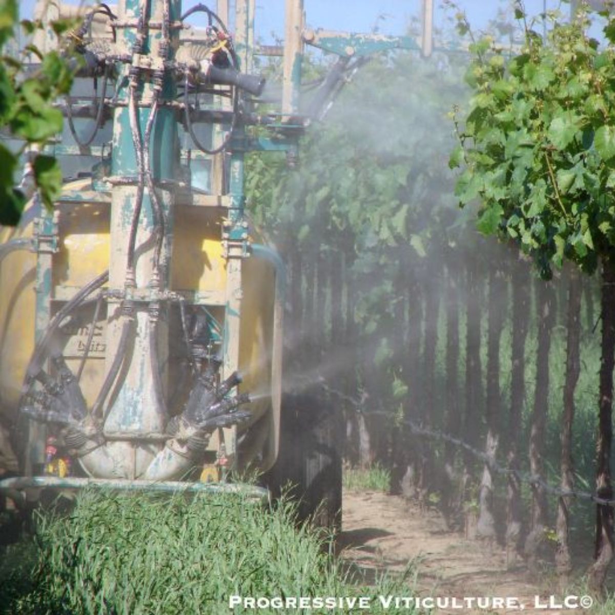 Foliar Fertilisers & Nutrition