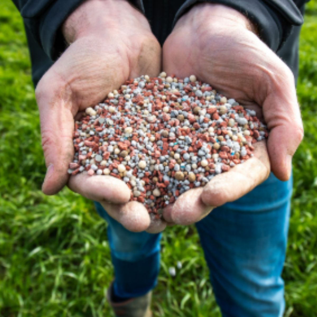 Granular Fertilisers