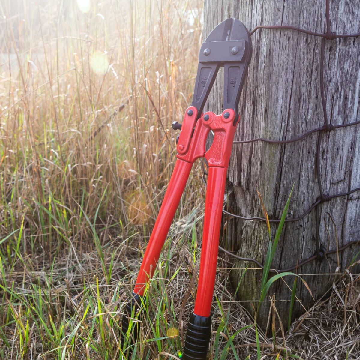 Hand Tools