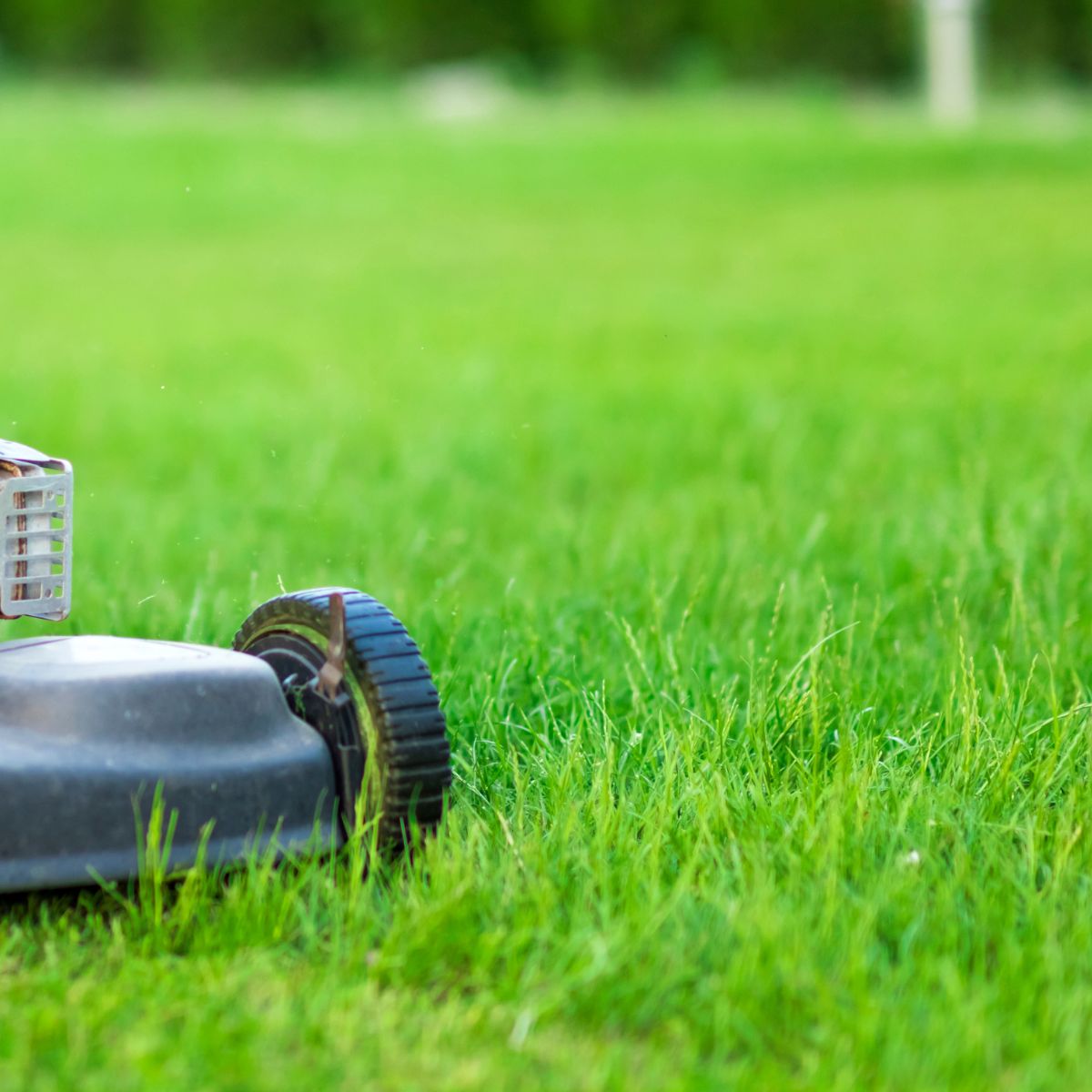 Lawn Care
