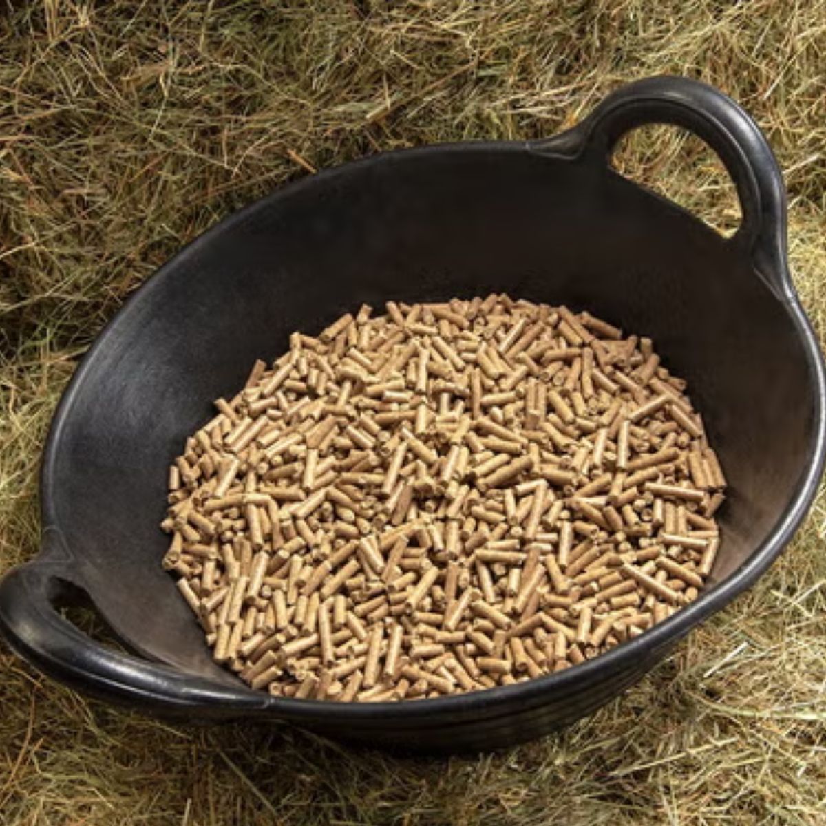 Livestock Feed