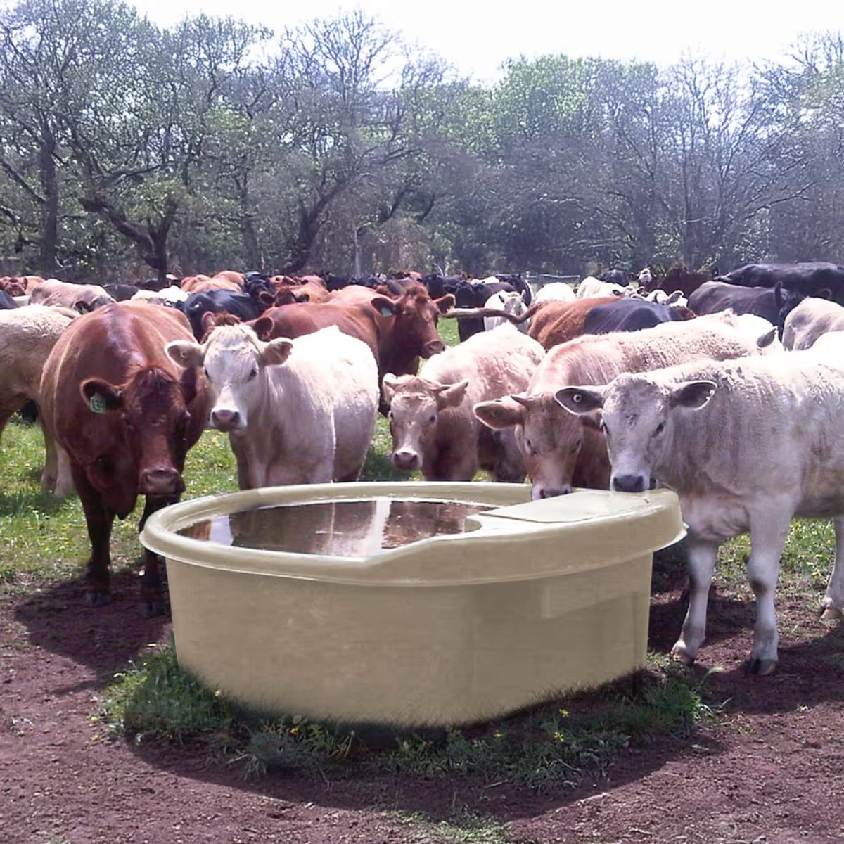 Livestock Troughs