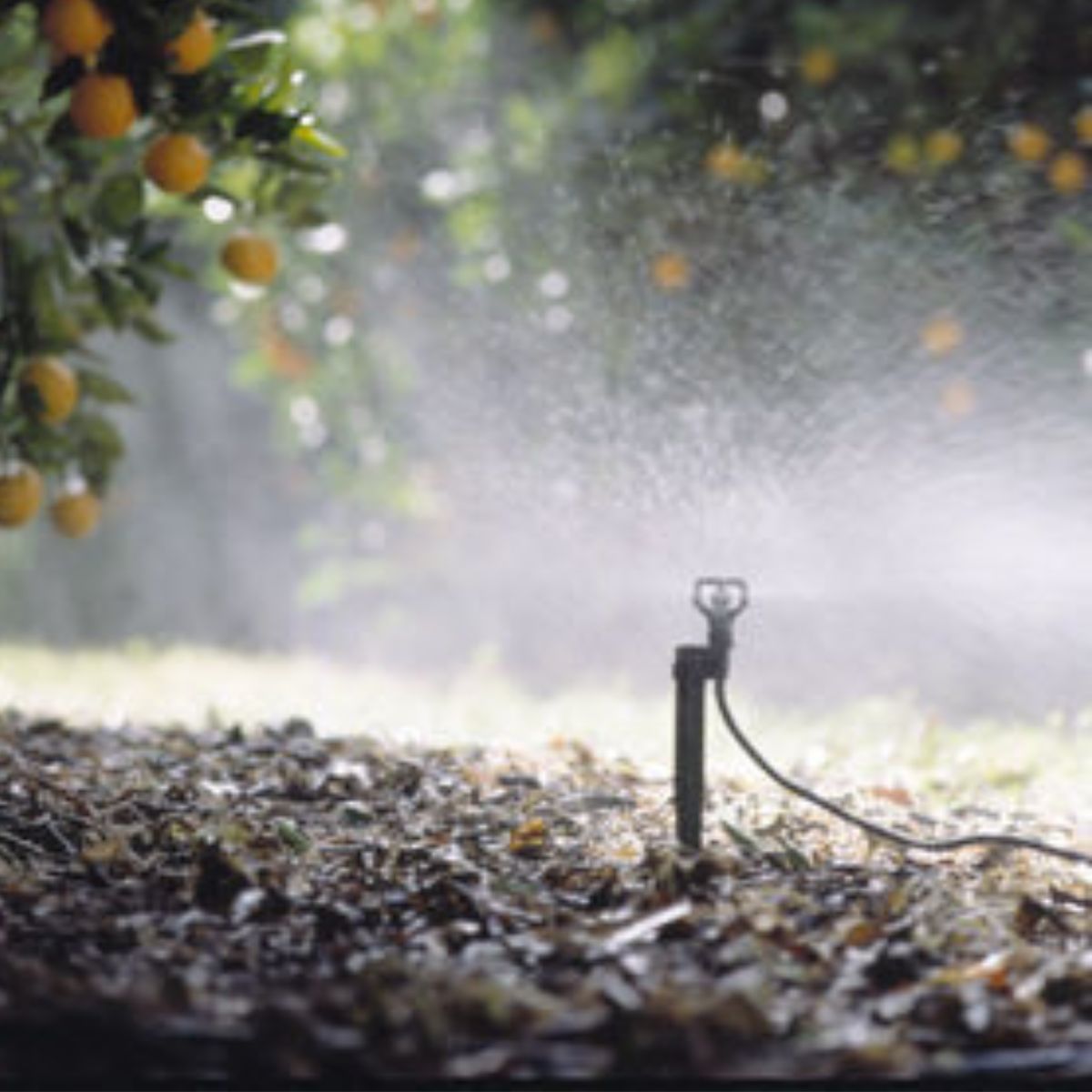 Micro Irrigation Fittings