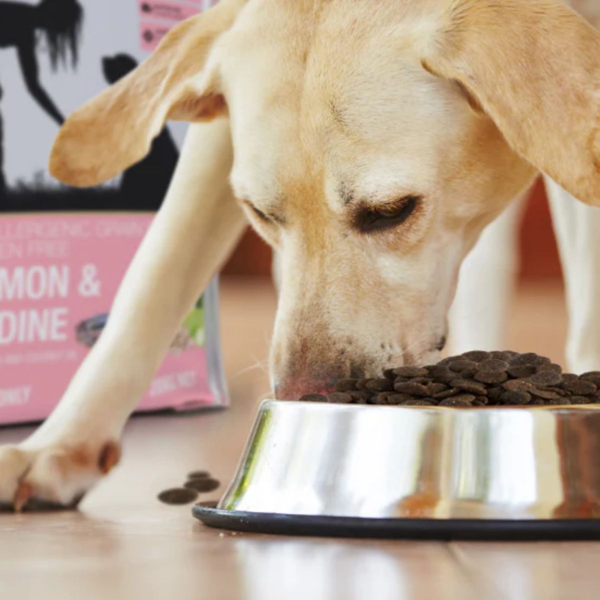 Pet Food & Treats