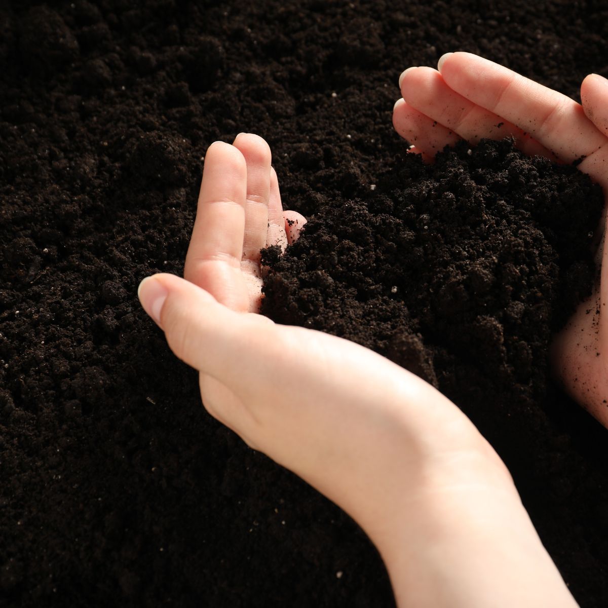 Soil Amendments