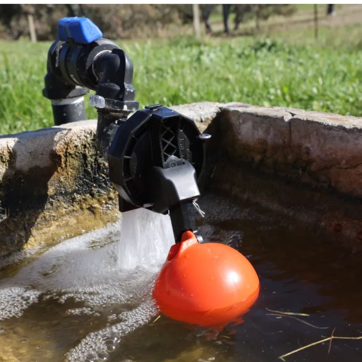 Tank & Trough Fittings