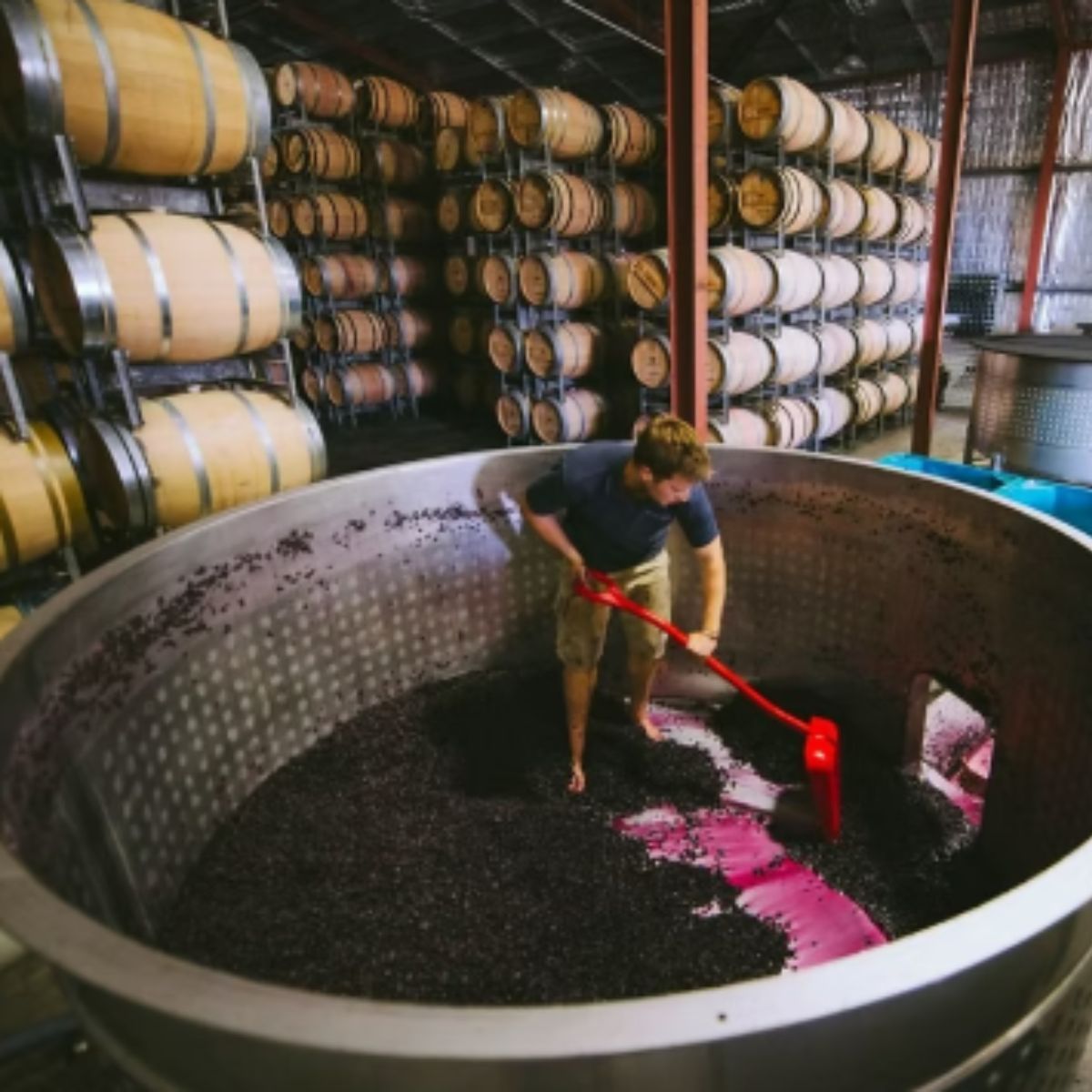 Wine Making & Additives