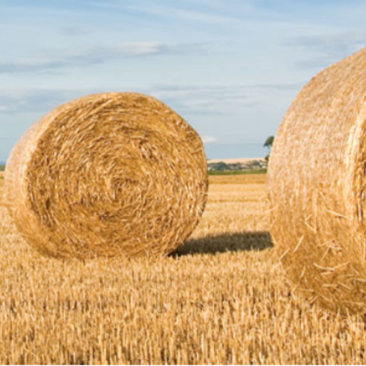 Hay & Silage Supplies — Twine, Netwrap & Silage Wrap