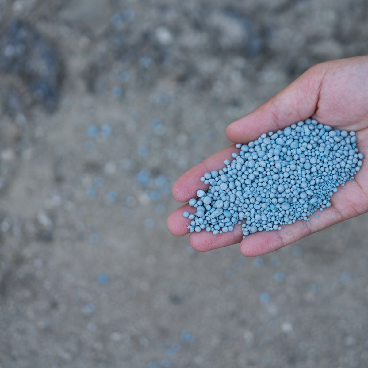 Water Soluble Fertilisers — NPK, Potassium, Calcium & Trace Elements