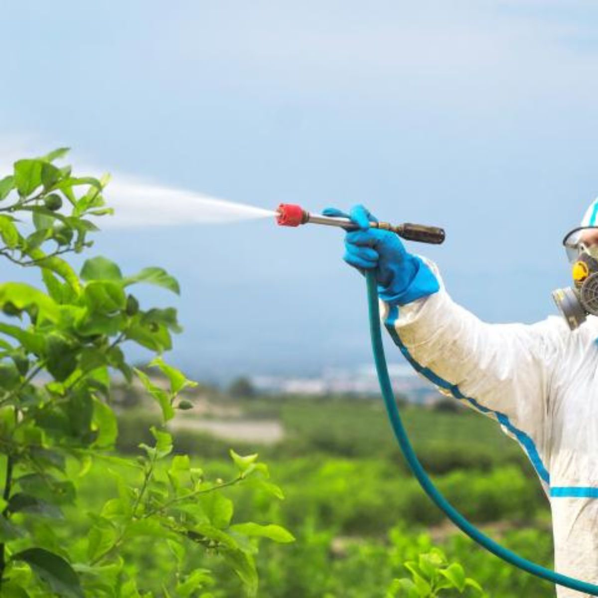 Weed, Pest & Disease Control