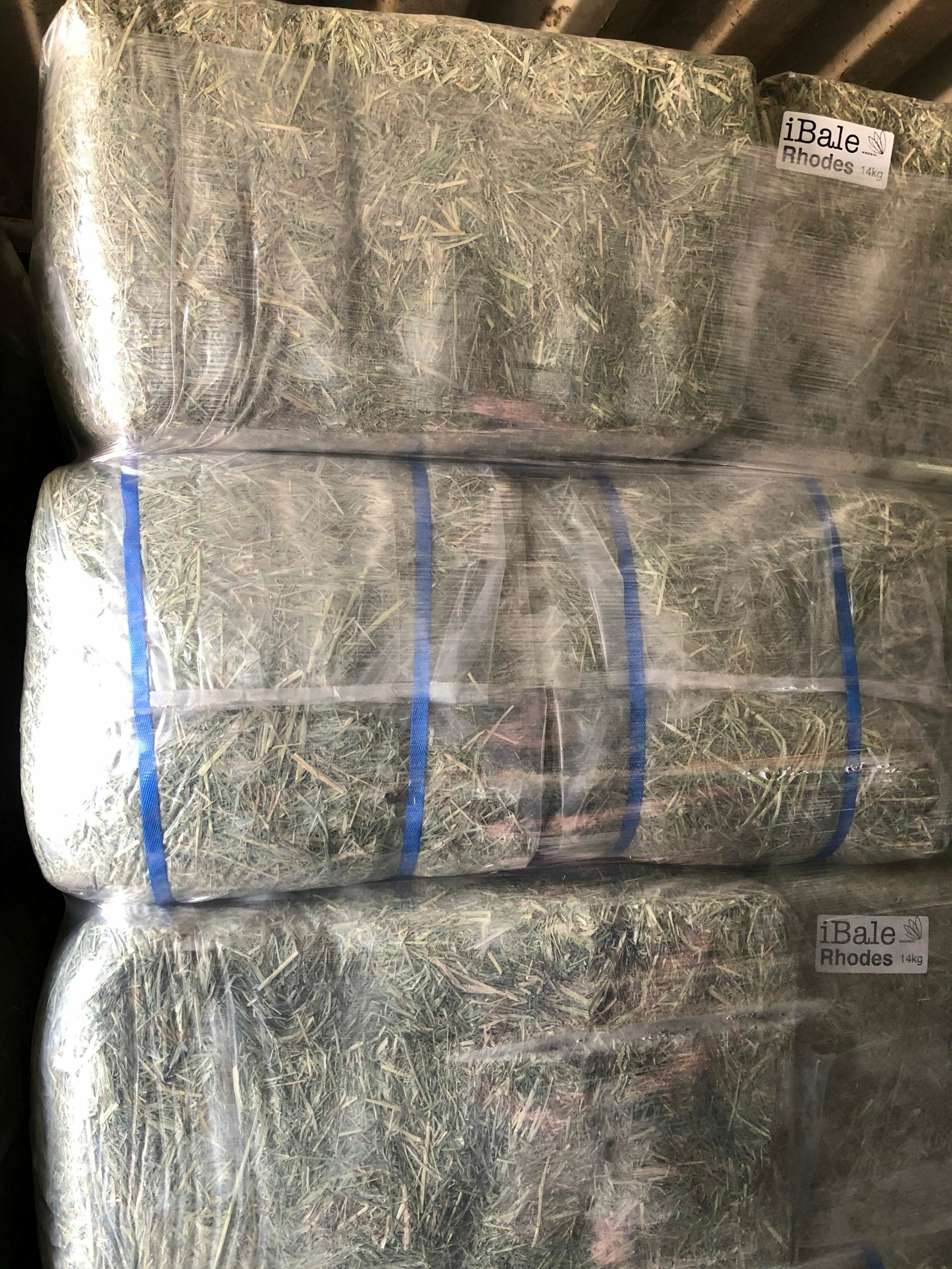 Rhodes Grass Hay Bale