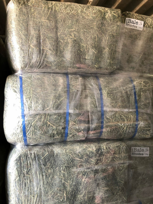 Rhodes Grass Hay Bale
