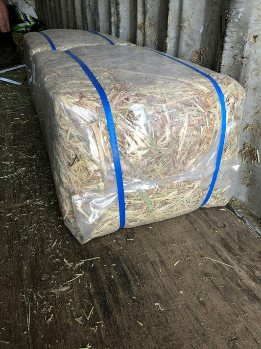 Lucerne Hay - Small Bales
