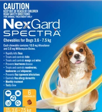 Nexgard Spectra Dog - 3 Pack