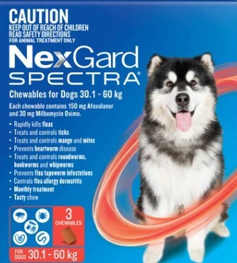Nexgard Spectra Dog - 3 Pack