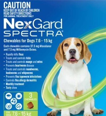 Nexgard Spectra Cat