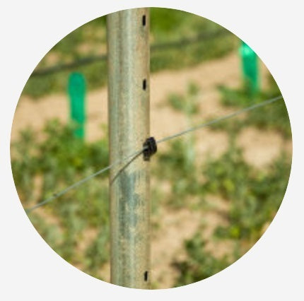 Eco Trellis Post 2.4mt x 64mm