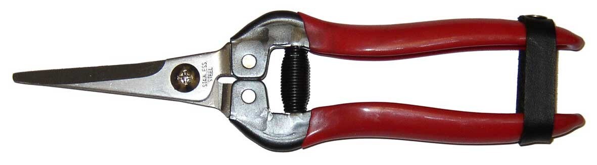 Ryset 50mm Straight Grape Snip / Vinyl Handle Type