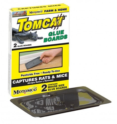 Rat Plastic Glue Board Twin Pack