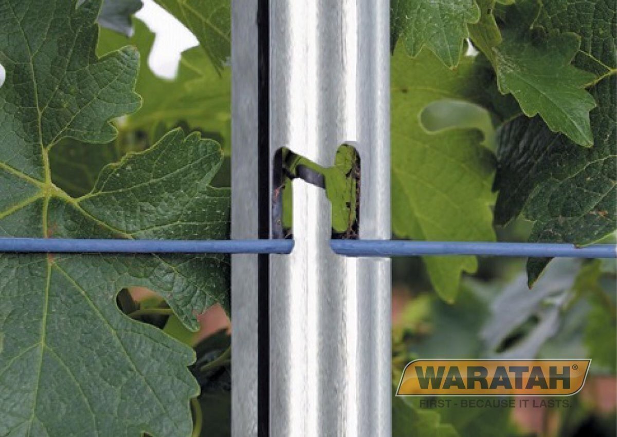 Waratah Gripfast Trellis Post 240cm