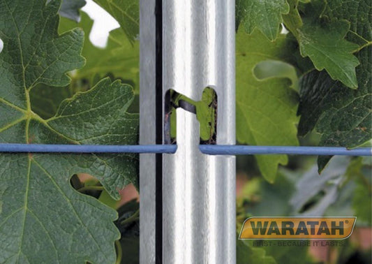 Waratah Gripfast Trellis Post 240cm