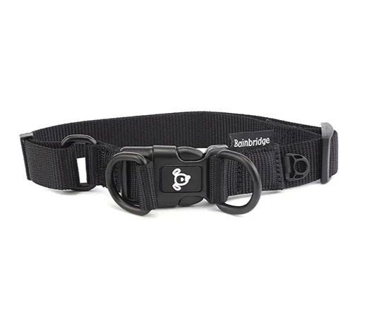 Nylon Dog Collar With Double Ring