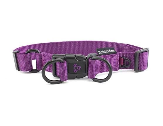 Nylon Dog Collar With Double Ring