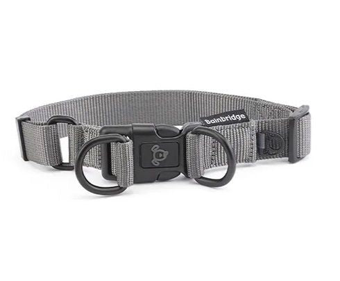 Nylon Dog Collar With Double Ring