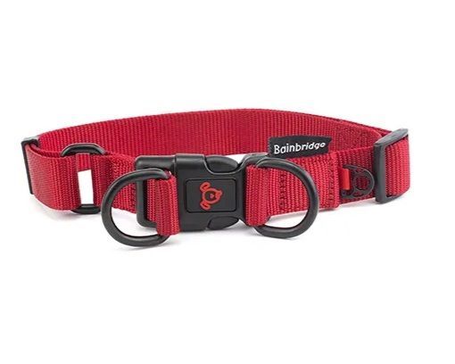 Nylon Dog Collar With Double Ring