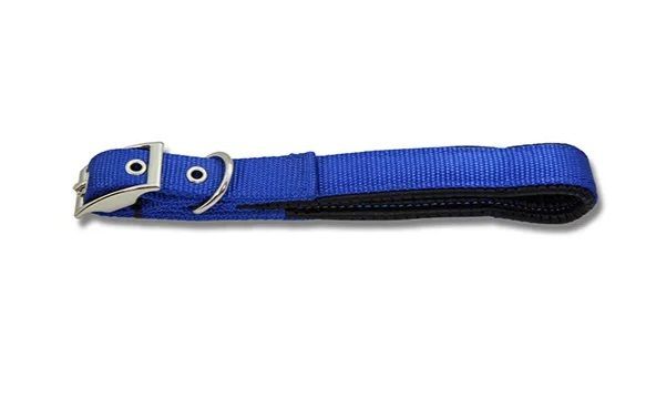 Padded Webbed Dog Collar