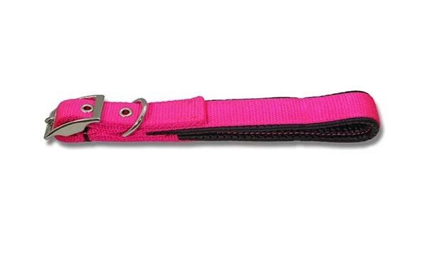 Padded Webbed Dog Collar