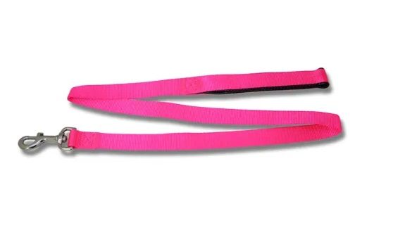Dog Lead Webbed Padded Handle 120cm