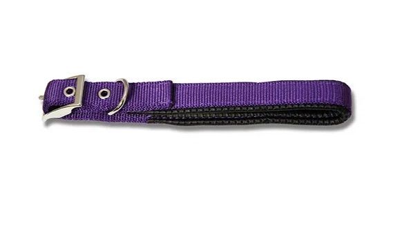 Padded Webbed Dog Collar