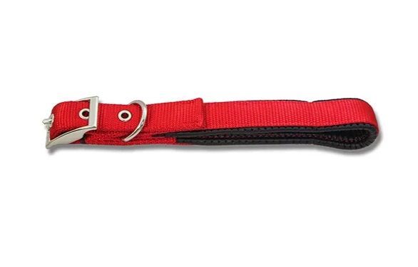 Padded Webbed Dog Collar