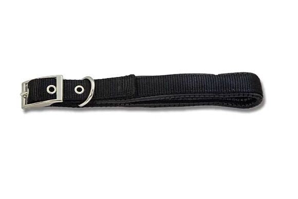 Padded Webbed Dog Collar