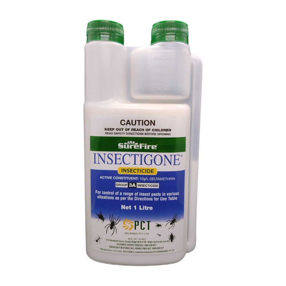Insectigone, 1L