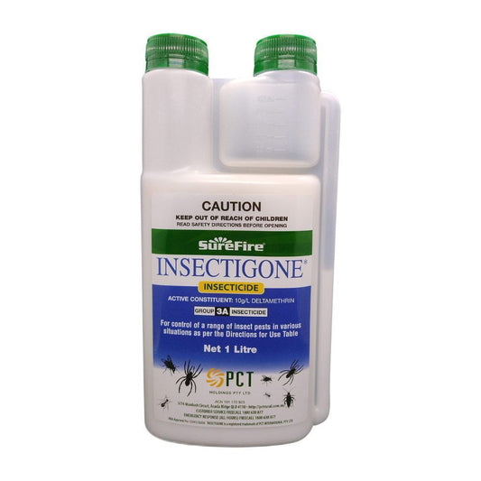 Insectigone, 1L