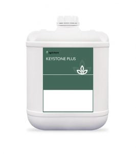 Vicentia Keystone Plus 20L