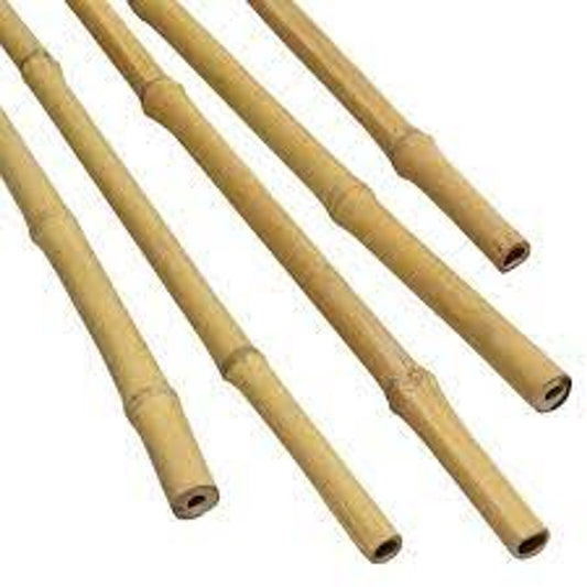 Bamboo Garden Stakes 11-13mm diameter