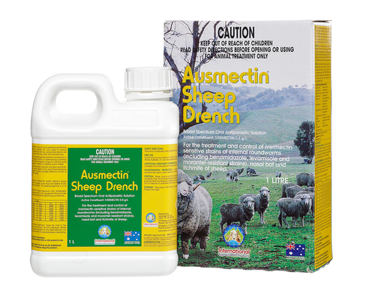 Ausmectin Sheep Drench 1L