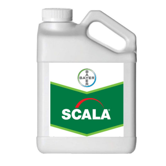 Scala SC600 Fungicide