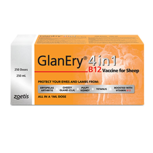 Glanery 4 in 1 B12 Vaccine 250ml